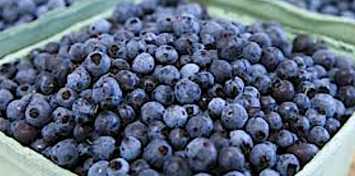 Blauäugig Beeren wild, Nahrungsergänzungsmittel