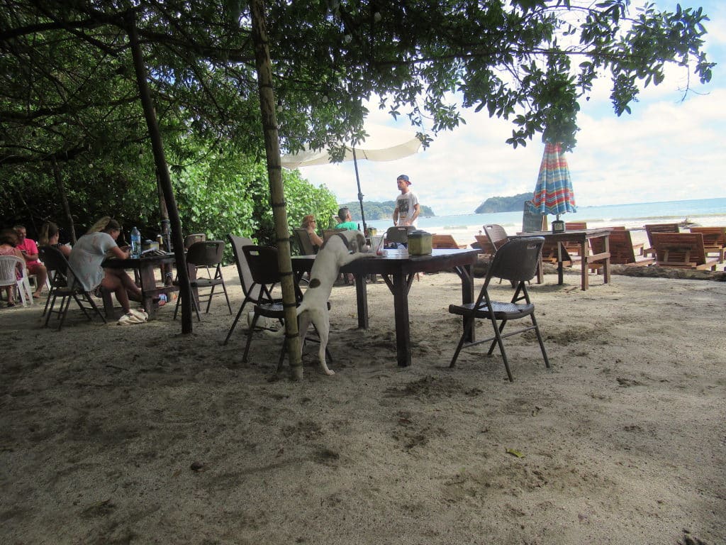 Playa Samara 2026
